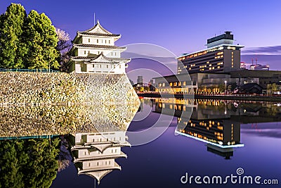 Nagoya Japan Castle Stock Photo