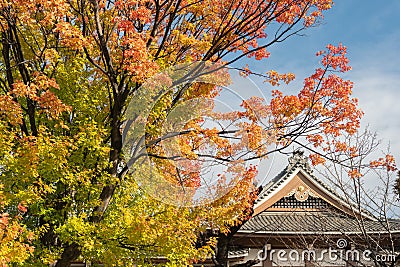 Shinshu Otaniha Nagoya Betsuin. Temple and autumn maple in Nagoya, Japan Editorial Stock Photo
