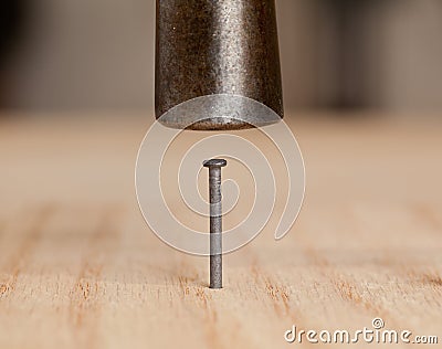 Nail being hit into wood by hammer Stock Photo