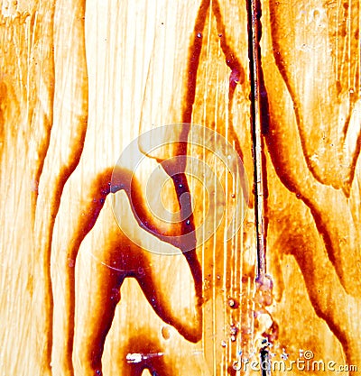 nail dirty stripped paint in the brown wood door and rusty yello Stock Photo