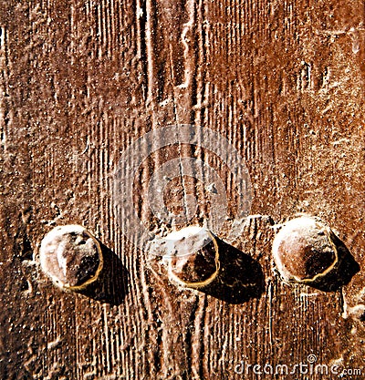 nail dirty stripped paint in the brown wood door and rusty yello Stock Photo