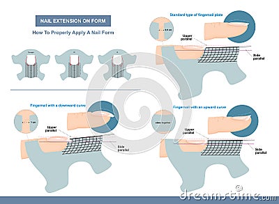 Nail Extension on Form. How to Properly Apply a Nail Form. Professional Manicure Tutorial. Vector Vector Illustration