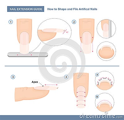 Nail extension guide. How to Shape and File Artificial Nails the Right Way. Step by Step Instruction. Professional Manicure Vector Illustration