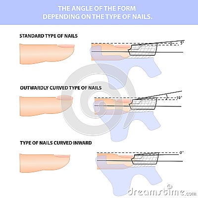 Nail extension in shape. How to apply the shape of the nail Vector Illustration