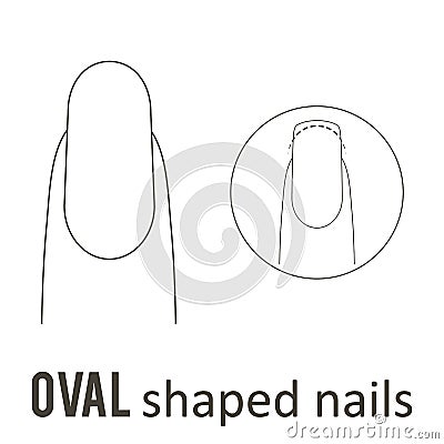 Nail shape oval Vector Illustration