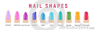 Nail shapes manicure vector art. Fingernail shape french form design fashion salon Vector Illustration