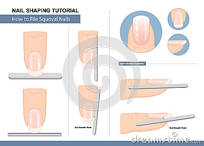 Nail Shaping Tutorial. How to File a Squoval Nail Shape. Step by Step Instruction. Vector Vector Illustration