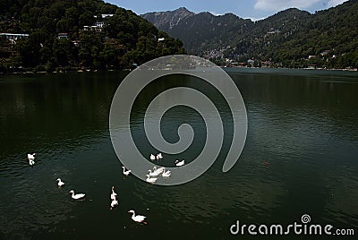 Nainital Lake Editorial Stock Photo