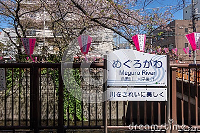 Nakameguro Cherry Blossom Festival, Japan Editorial Stock Photo