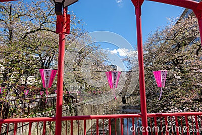 Nakameguro Cherry Blossom Festival, Japan Editorial Stock Photo