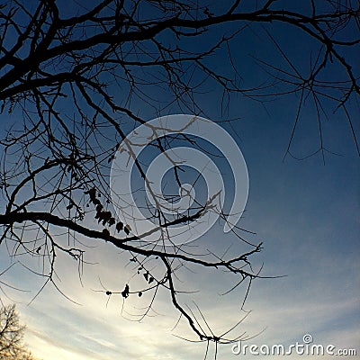 Autumn sunset Stock Photo