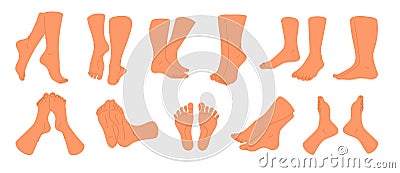 Naked feet. Different angles and positions of human legs. Male ankles. Female barefoot toes. Front, side and back view Vector Illustration