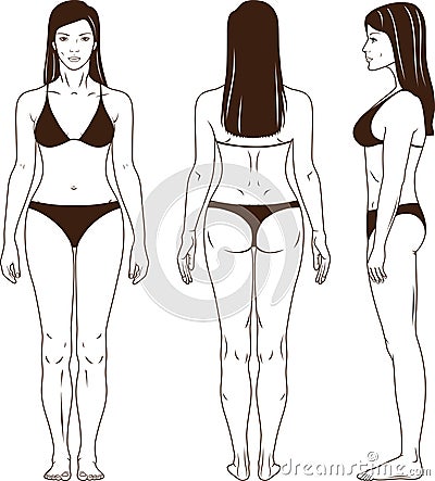 Naked standing woman vector Vector Illustration