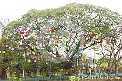 Nakhon sawan festival,lamp,hanging lamp,king lght ,Chinese New Year, Chinese New Year activities, dragon,dragon dance , The Chines Stock Photo