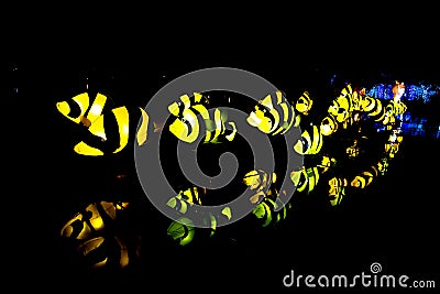 Nakhon sawan festival,lamp,hanging lamp,king lght ,Chinese New Year, Chinese New Year activities, dragon,dragon dance , The Chines Stock Photo