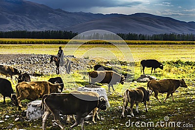 NaLaTi grassland in Xinjiang, China Editorial Stock Photo