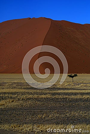 Namib Desert Stock Photo