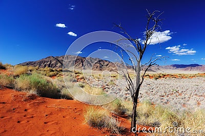 Namib Desert (Namibia) Stock Photo