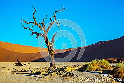 Namib-Naukluft National Park Stock Photo