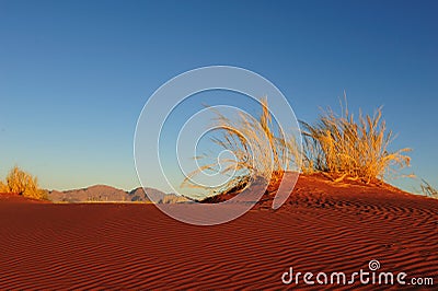 Namib Rand Nature Reserve (Namibia) Stock Photo