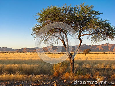 Namibia namib mountains Stock Photo