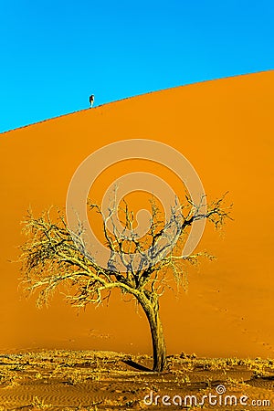 Giant yellow-orange dune Stock Photo