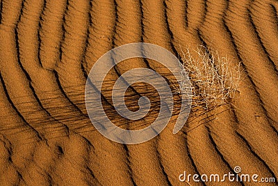 Namibian sand dune Stock Photo
