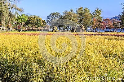 Namiseom island in autumn Stock Photo