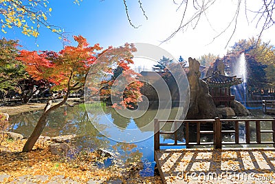 Namiseom island in autumn Stock Photo