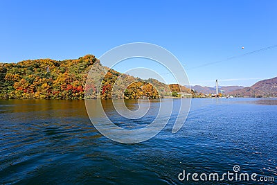 Namiseom island in autumn Stock Photo