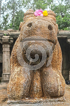 Nandi the Baby Bull of Lord Shankar Stock Photo