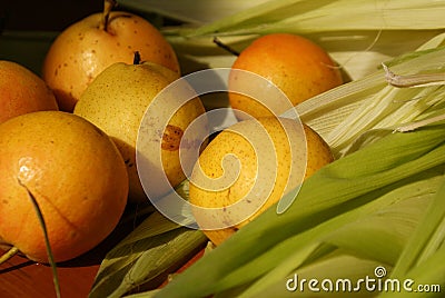 Nanguo Pear Stock Photo