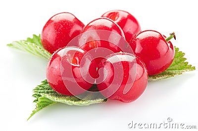 Nanking or felted cherry ftuits with leaves isolated on a white background Stock Photo