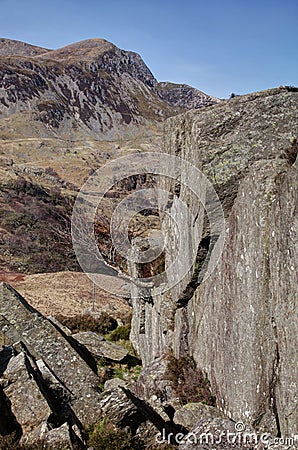 Nant Ffrancon tree and rock face Stock Photo