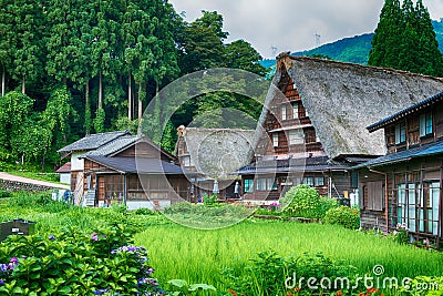 Gassho-zukuri houses at Suganuma village, Gokayama area, Nanto City, Toyama Prefecture, Japan. UNESCO Editorial Stock Photo