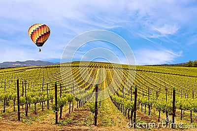 Napa Valley Vineyards, Spring, Mountains, Sky, Clouds, Hot Air Balloon Stock Photo