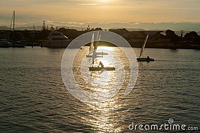 Small sailing yachts in inner harbour or Ahuriri in Napier Editorial Stock Photo