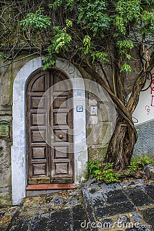 Naples, Italy - August 16, 2015 : Brown antique door with the rank tree Editorial Stock Photo