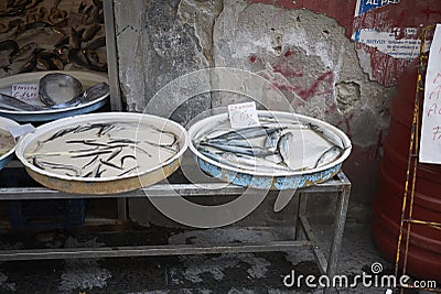 Fish sold in Sanita district Editorial Stock Photo