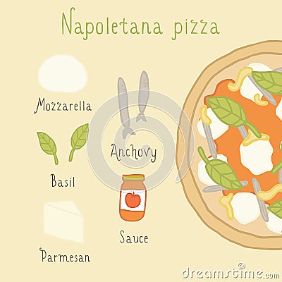 Napoletana pizza ingredients. Vector Illustration