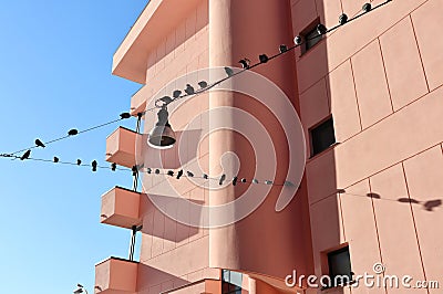 Napoli - Piccioni in fila sui fili Stock Photo