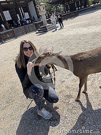 Nara Deer Park close to Kyoto and Osaka, Japan Editorial Stock Photo