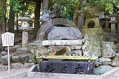 Kasuga Taisha Shrine Kasuga Grand Shrine in Nara, Japan. It is part of UNESCO World Heritage Site - Stock Photo