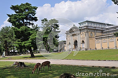 Nara National Museum Editorial Stock Photo