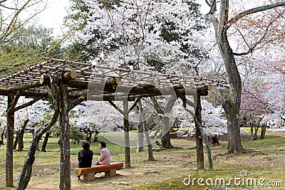 Nara Park,Japan Editorial Stock Photo