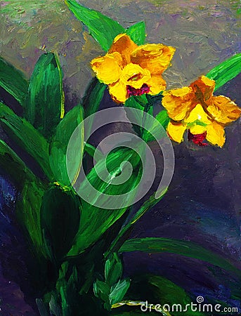 Narcissus Stock Photo