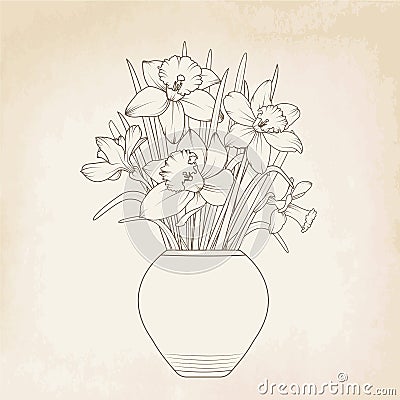 Narcissus daffodils flowerpot vase bouquet Vector Illustration