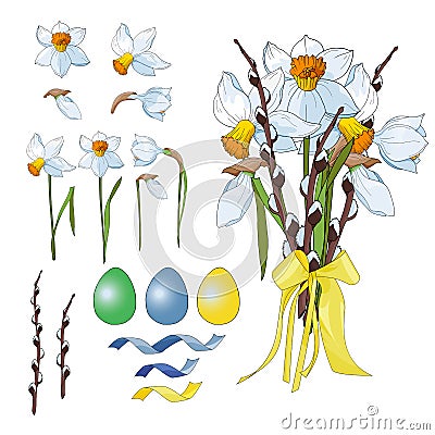 Narcissus Daffodils for happy Easter Vector Illustration