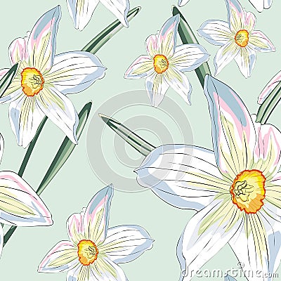 Narcissus daffodils seamless spring floral pattern. Vector Yellow and white illustration. Cartoon Illustration