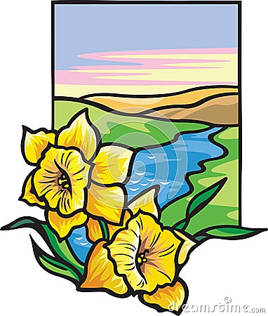 Narcissus Flowers Vector Illustration